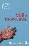 Mille morceaux