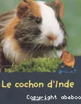 [Le]cochon d'Inde