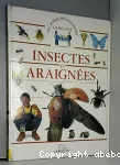 Insectes et araignées