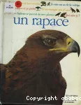 Qui suis-je ? un rapace