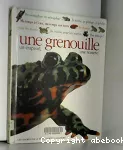 Une grenouille