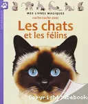 Cache-cache avec les chats et les félins