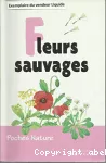 Fleurs sauvages