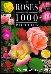 [Les]roses en 1000 photos