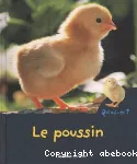 [Le]poussin