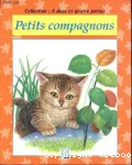 Bonjour, mes amis !