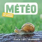 Météo