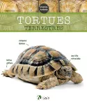 Tortues terrestres