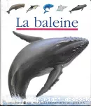 [La]baleine